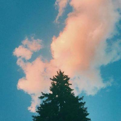 袋宠精灵手游